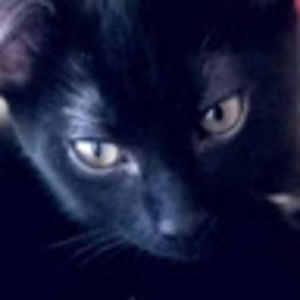 Meet your Posher, Roxanne